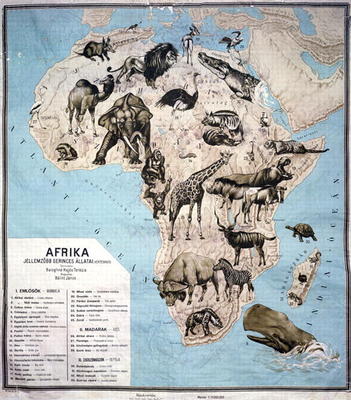 Map of animals in Africa (colour engraving) Sf a Janos Balint