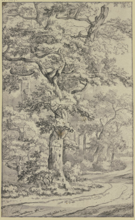 Path next to oak trees a Jan van Kessel