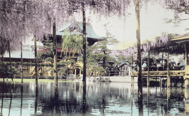Wisteria blossom over the pond in the Kameido Temple Gardens, Tokyo, late 19th century (hand coloure a Japanese Photographer, (19th century)