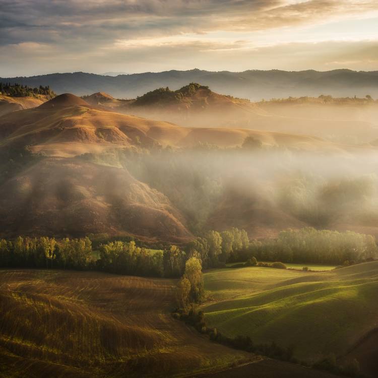 Mystical Waving Fields Tuscany a Jarek Pawlak