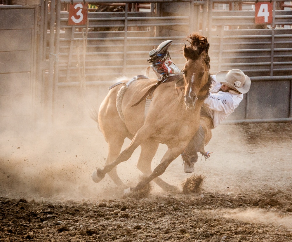 Bareback Bronc a Jay Heiser