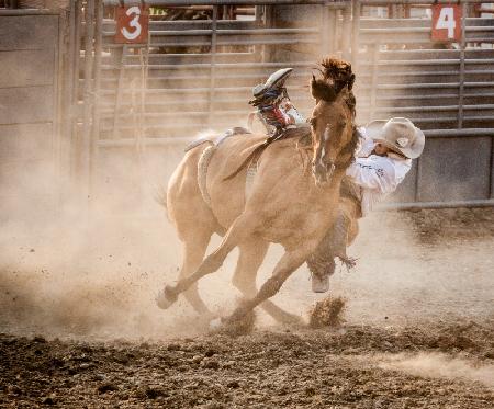 Bareback Bronc