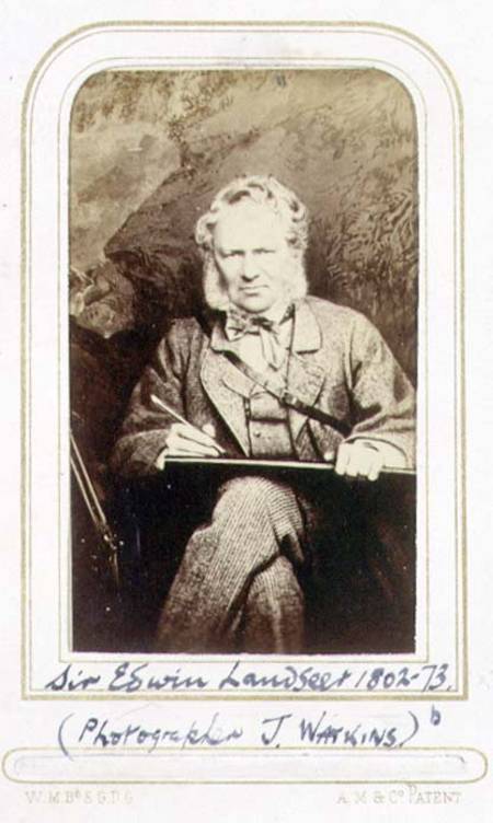 Portrait of Sir Edwin Landseer (1802-73) (albumen print) a J.C. Watkins
