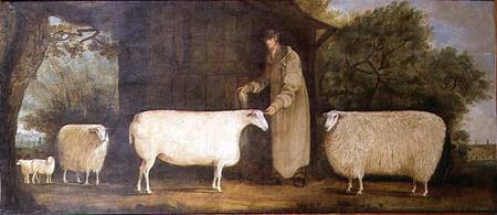 A Shepherd with his Flock a J.D. Curtis
