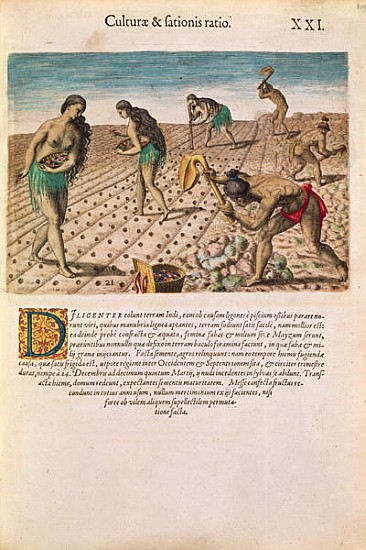 Florida Indians planting maize, from ''Brevis Narratio...'', published Theodore de Bry, 1591(see als a J.(de Morgues) Bry Th. (1528-98) after Le Moyne