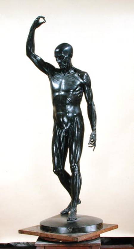 Flayed Body (L'Ecorche) a Jean-Antoine Houdon