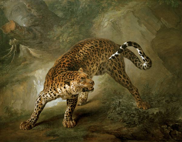 Leopard a Jean Baptiste Oudry