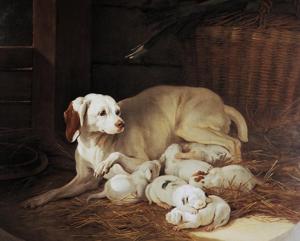 Bitch nursing puppies, detail from Lise et ses petits a Jean Baptiste Oudry