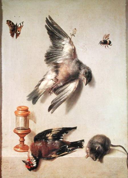 Still Life of Dead Birds and a Mouse a Jean Baptiste Oudry