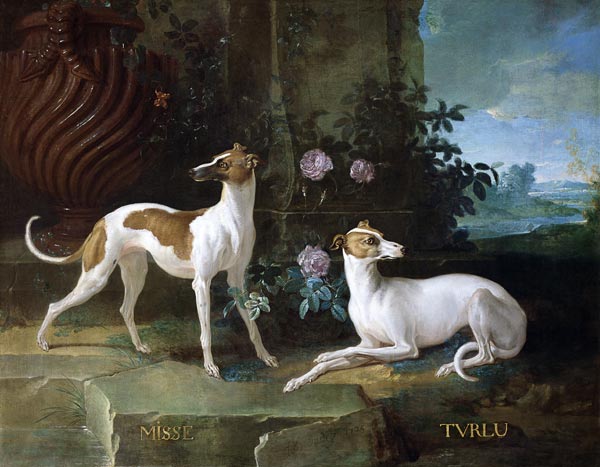 Misse and Turlu, two greyhounds of Louis XV a Jean Baptiste Oudry