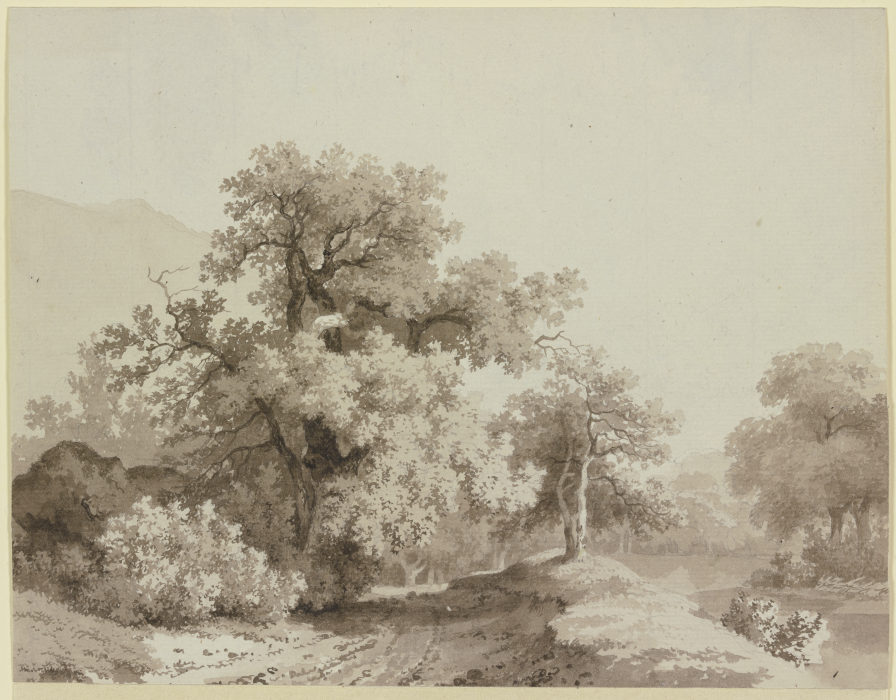 Landschaft mit großen Bäumen a Jean Jacques de Boissieu