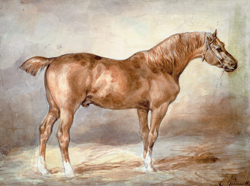 A docked chestnut horse a Jean Louis Théodore Géricault