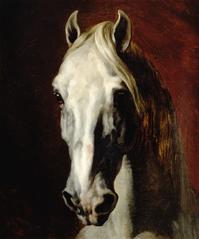 Testa di cavallo bianco a Jean Louis Théodore Géricault