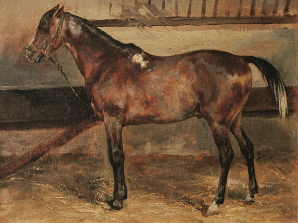 Brown Horse in the Stalls a Jean Louis Théodore Géricault