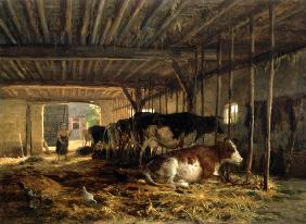 The Cow shed