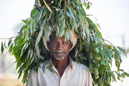 Farmer