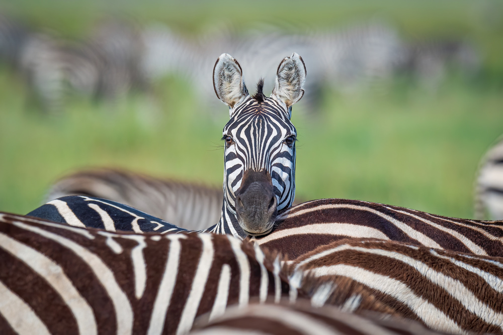 Make a difference....stand out in the crowd a Jeffrey C. Sink