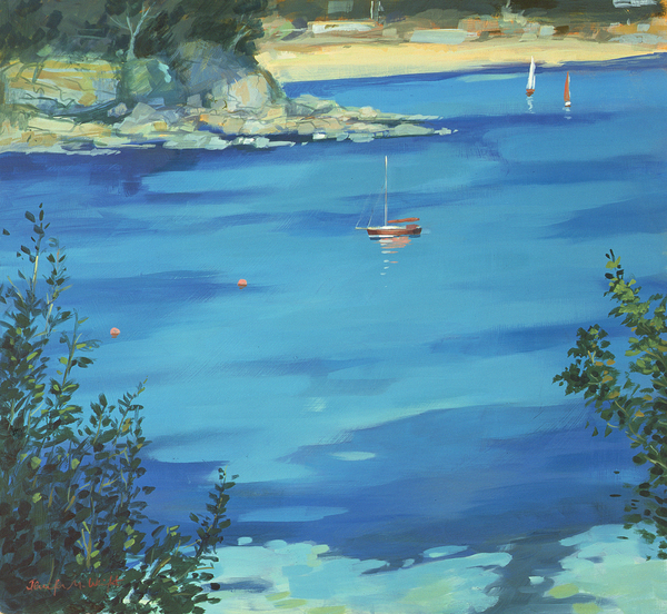 Salcombe, Moored Yacht, Southsands a Jennifer Wright