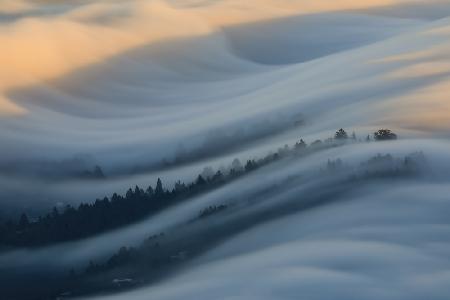 The Waves of Fogs