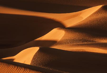 The Sand Dune Ladder