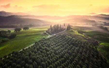 Tuscany Morning