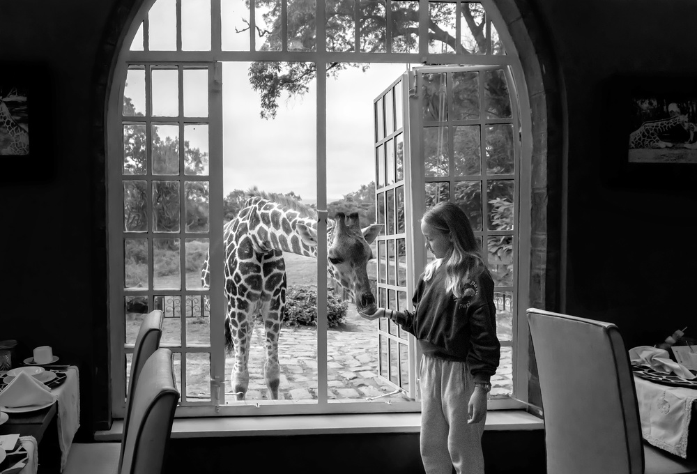Giraffe and girl a Jie Fischer