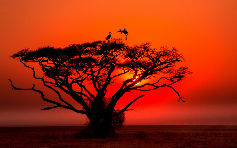 Africa sunset a Jie Jin