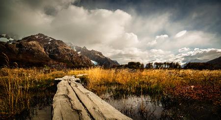 Autumn Bridge