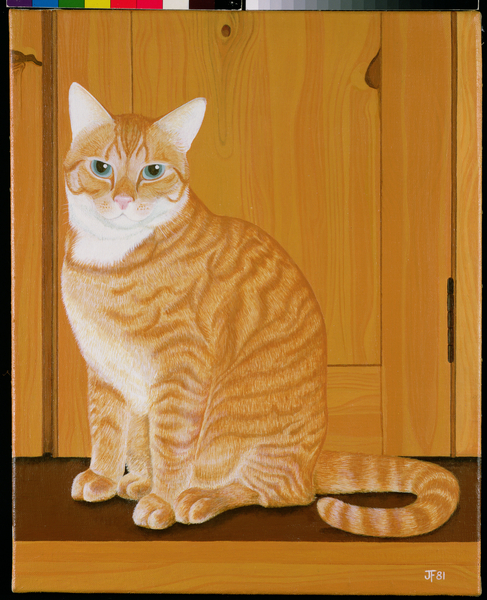 Marmalade cat by a door a Joan Freestone