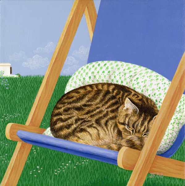 Tabby cat asleep in a deck chair a Joan Freestone