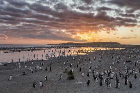 Sunrise at Sea Lion