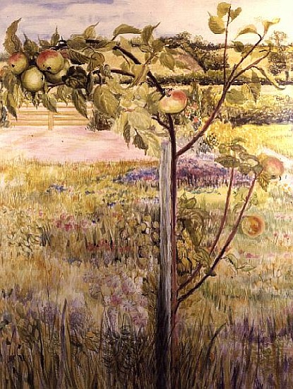 Apple Tree in a Suffolk Landscape (w/c)  a Joan  Thewsey