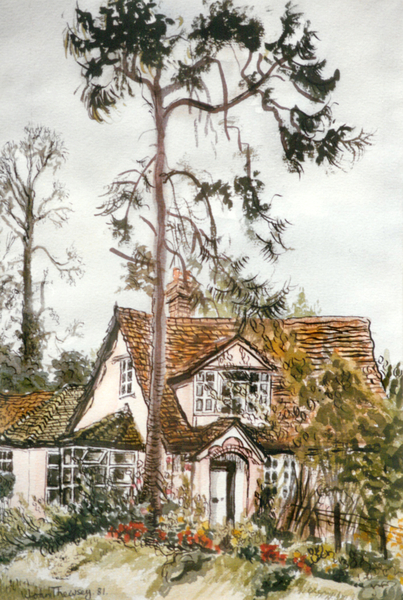 Cottage with Fir Tree a Joan  Thewsey