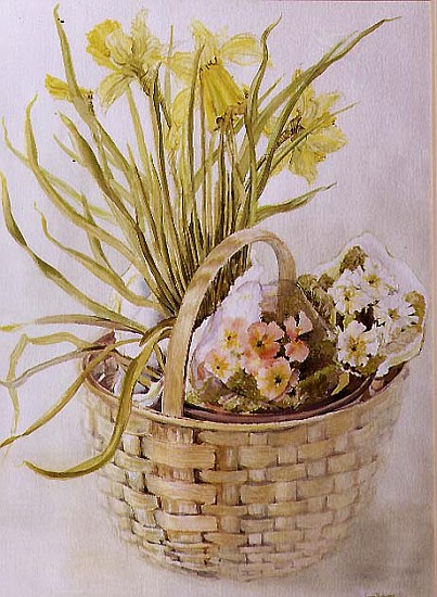 Daffodil Basket (w/c on paper)  a Joan  Thewsey