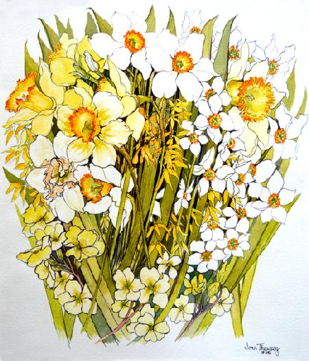 Daffodils, Narcissus, Forsythia and Primroses
