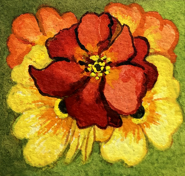 Five Primroses, red, yellow and orange a Joan  Thewsey