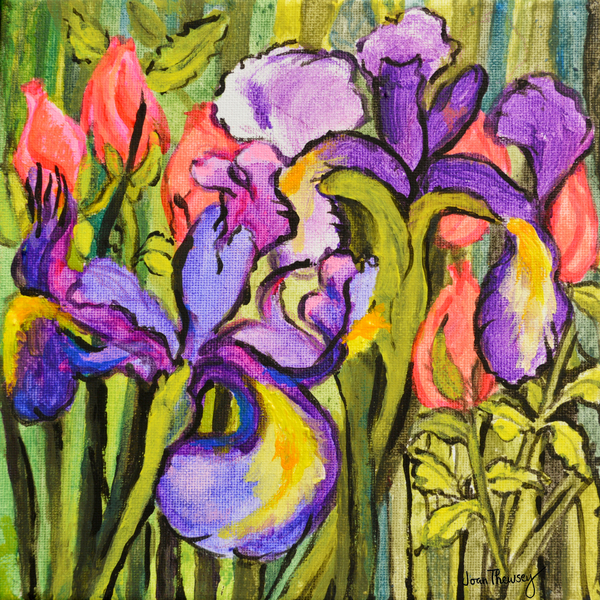 Irises and Roses a Joan  Thewsey