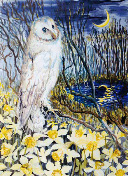 Owl (w/c on paper)  a Joan  Thewsey