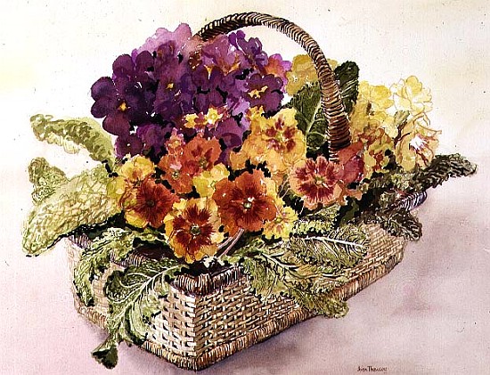 Primulas in a Basket (w/c)  a Joan  Thewsey
