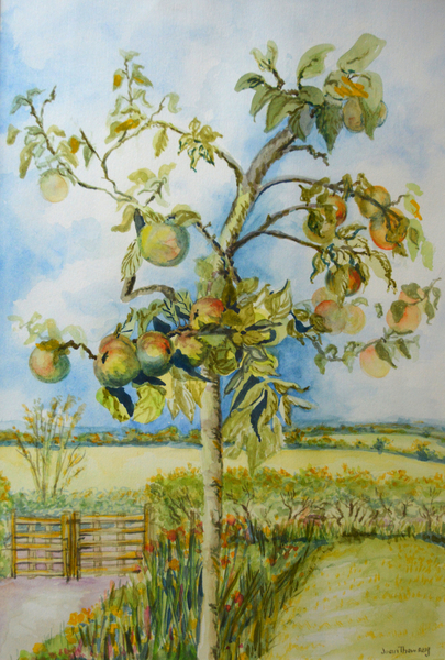The Apple Tree a Joan  Thewsey