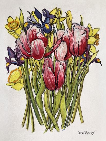 Tulips, Daffodils and Iris
