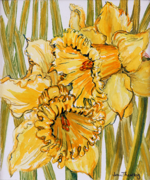 Two Daffodils a Joan  Thewsey
