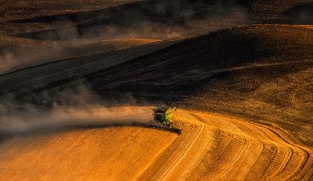 Fall Harvest