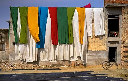 The colorful sun bath