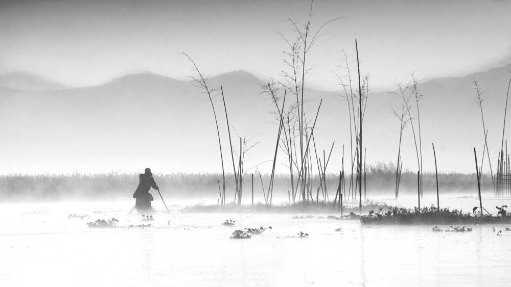 Fishing in a misty morning a Joe B N