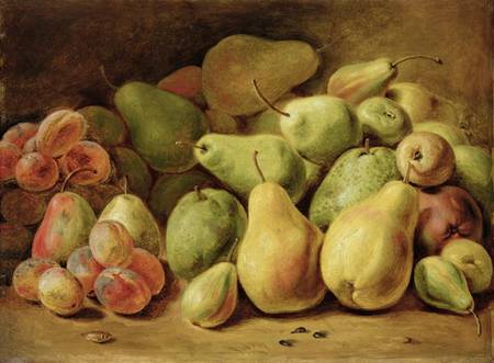 Fruit Still Life a Joh. Friedrich August Tischbein