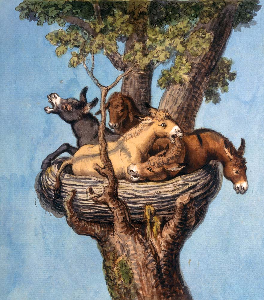 Donkey in the nest (donkey history) a Joh. Heinrich Wilhelm Tischbein