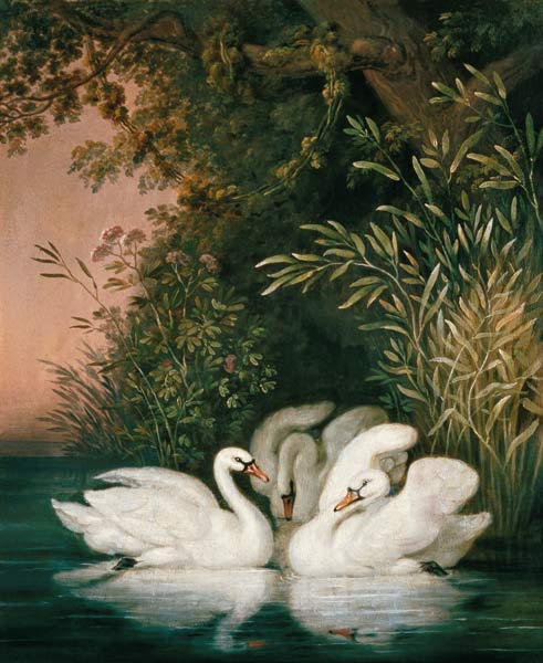Swans a Joh. Heinrich Wilhelm Tischbein