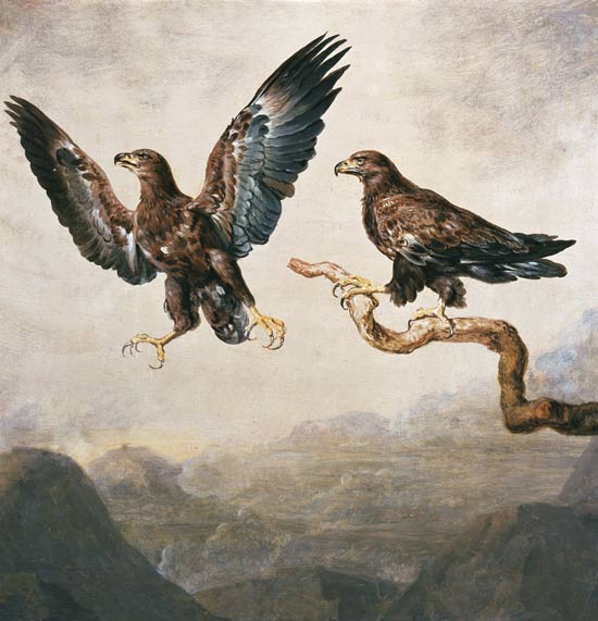 Eagle a Joh. Heinrich Wilhelm Tischbein