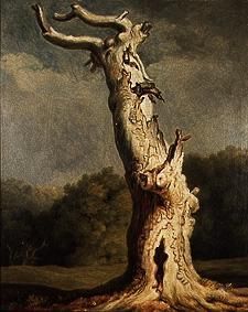 Old oak a Joh. Heinrich Wilhelm Tischbein